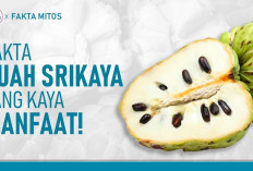 Inilah 6 Manfaat Mengonsumsi Buah Srikaya Bagi Kesehatan Tubuh, Apa Saja?