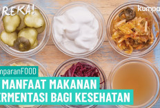 Daftar Makanan Fermentasi yang Baik untuk Kesehatan Tubuh