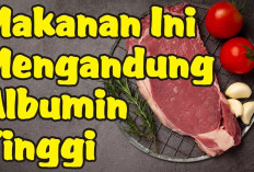 Ini Dia Makanan dengan Kandungan Albumin Tinggi yang Bisa Kamu Konsumsi