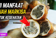 Inilah 5 Manfaat Buah Markisa yang Perlu Diketahui, Mampu Melawan Radikal Bebas dan Menjaga Kadar Gula Darah