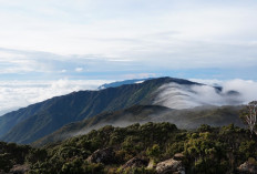 Mengenal Gunung Latimojong, Gunung Tertinggi di Pulau Sulawesi