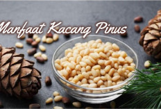 Manfaat Kacang Pinus, Mulai dari Penurunan Berat Badan Hingga Mengurangi Kolesterol