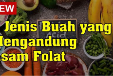 Inilah Buah yang Mengandung Asam Folat