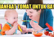 Manfaat Tomat untuk Anak, Dapat Meningkatkan Daya Tahan Tubuh