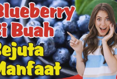 Ternyata Dapat Menjaga Kesehatan Jantung, Ini Dia Manfaat Blueberry untuk Kesehatan