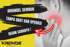 Pengobatan Efektif untuk Amandel Secara Medis dan Alami, Obat Medis Hingga Air Garam