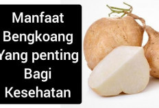 Manfaat Bengkoang untuk Kesehatan Anak