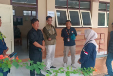 Pantau Langsung Pemilu Serentak