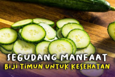 Manfaat Timun untuk Kesehatan Anak, Dapat Mencegah Dehidrasi