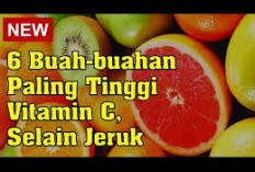 Buah yang Paling Banyak Mengandung Vitamin C