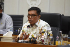 Jabatan Kades 8 Tahun Disetujui Bakal Dibawa ke Paripurna DPR Terkait Revisi UU Desa