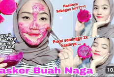 Inilah Cara Membuat Masker Buah Naga Merah yang Bisa Bikim Glowing dan Jerawat Menghilang