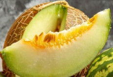 Manfaat Rutin Mengonsumsi Buah Melon Bisa Turunkan Tekan Darah dan Menyehatkan Mata