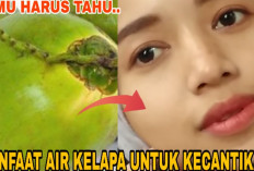 Manfaat Buah Kelapa untuk Kecantikan, Dapat Mencerahkan dan Memutihkan Kulit Wajah