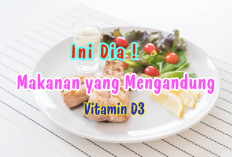 5 Makanan Ini Mengandung Vitamin D3 yang Sangat Baik untuk Menambah Stamina Tubuh