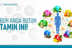 Vitamin untuk Menjaga Kebugaran Tubuh dan Memperkuat Sistem Kekebalan Tubuh