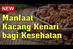 Manfaat Kacang Kenari untuk Kesehatan, Ternyata Dapat Mengurangi Risiko Penyakit Jantung