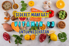Sederet Manfaat Vitamin D3 yang Jarang Orang Ketahui! Ternyata Baik untuk Tubuh