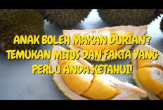 Manfaat Durian untuk Anak yang Jangan Sampai Kamu Lewatkan