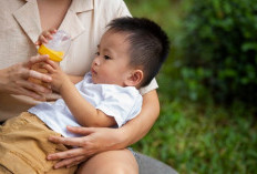 Para Ibu Wajib Tahu! Inilah Beberapa Cara Menyapih Anak yang Efektif, Apa Saja?