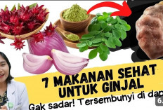 5 Daftar Sayuran yang Baik untuk Ginjal, Yuk Simak Apa Saja Jenisnya?