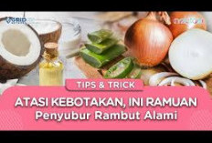 Ini Dia Ramuan Herbal untuk Penumbuh Rambut yang Efektif 