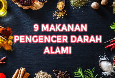 Inilah Jenis Makanan Pengencer Darah yang Wajib Dikonsumsi