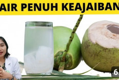 5 Khasiat Minum Air Kelapa Murni yang Menyehatkan dan Bantu Cegah Segala Macam Penyakit