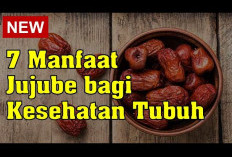 Manfaat Jujube untuk Kesehatan, Dapat Meningkatkan Kualitas Tidur