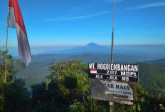 Gunung Tertinggi di Pekalongan Ini Masuk Seven Summit Jawa Tengah, Sunyi, Rimbun nan Eksotis