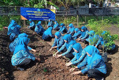 PKK Canangkan Gerakan Tanam Cabai