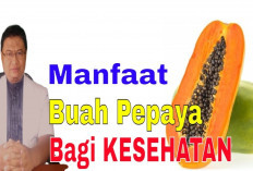 Manfaat Kesehatan Tersembunyi dari Sepotong Buah Pepaya yang Memiliki Rasa Manis, Mau Tahu?