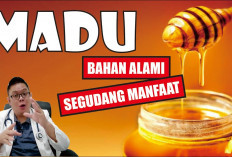 Inilah Manfaat Madu untuk Kesehatan, Dapat Membantu Menjaga Daya Tahan Tubuh dan Banyak Lainnya