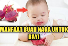 Dapat Menjaga Kesehatan Kulit, Inilah Manfaat Buah Naga untuk Bayi