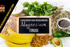 Inilah Daftar Makanan dengan Kandungan Magnesium Tinggi yang Bermanfaat untuk Tubuh