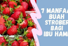 Jangan Lewatkan, Ini Dia Manfaat Stroberi untuk Ibu Hamil