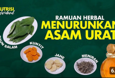 Manfaat Konsumsi Rempah untuk Asam Urat Bisa Hilangkan Sakit di Persendian, Yuk Lakukan dari Sekarang!