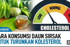 6 Pilihan Daun Penurun Kolesterol Jahat yang Layak untuk Dicoba