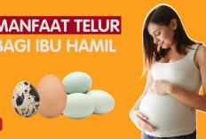 Inilah Berbagai Manfaat Telur Rebus untuk Ibu Hamil dan Janin