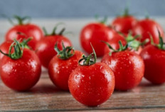 Sederet Manfaat Buah Tomat Ceri yang Kecil-kecil Bisa Meningkatkan Kesehatan Mata