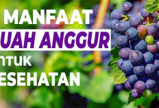 Dapat Melindungi dari Infeksi, Inilah Manfaat Buah Anggur untuk Kesehatan Anak-anak