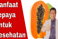 Inilah Khasiat Buah Pepaya yang Bikin Tubuh Sehat dan Bisa Cegah Penyakit! Apa Saja?