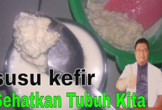 Manfaat Susu Kefir dan Risiko Efek Sampingnya yang Perlu Kamu Ketahui