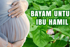 Manfaat Bayam untuk Ibu Menyusui yang Perlu Diketahui