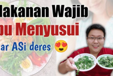 Ini Dia Manfaat Daun Katuk untuk Ibu Menyusui