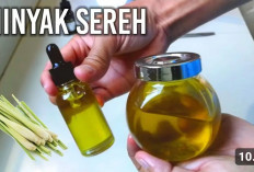 Ini Sederet Khasiat Minyak Sereh Buat Tubuh, Aromanya Menyegarkan!