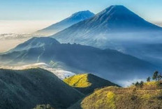 Antara Legenda dan Fakta, Berikut 3 Gunung yang Dianggap Berkeluarga di Wonosobo