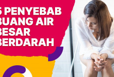 Inilah Penyebab Buang Air Besar Berdarah dan Cara Mengobatinya