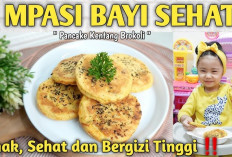 Pilihan Makanan Sehat untuk Bayi dari Bahan Organik