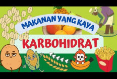 Ini Dia Rekomendasi Makanan Tinggi Karbohidrat yang Dapat Dikonsumsi